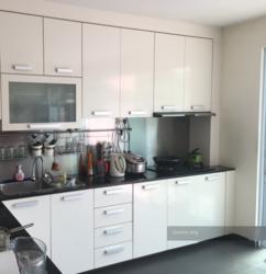 Serangoon Garden Estate (D19), Terrace #107802282